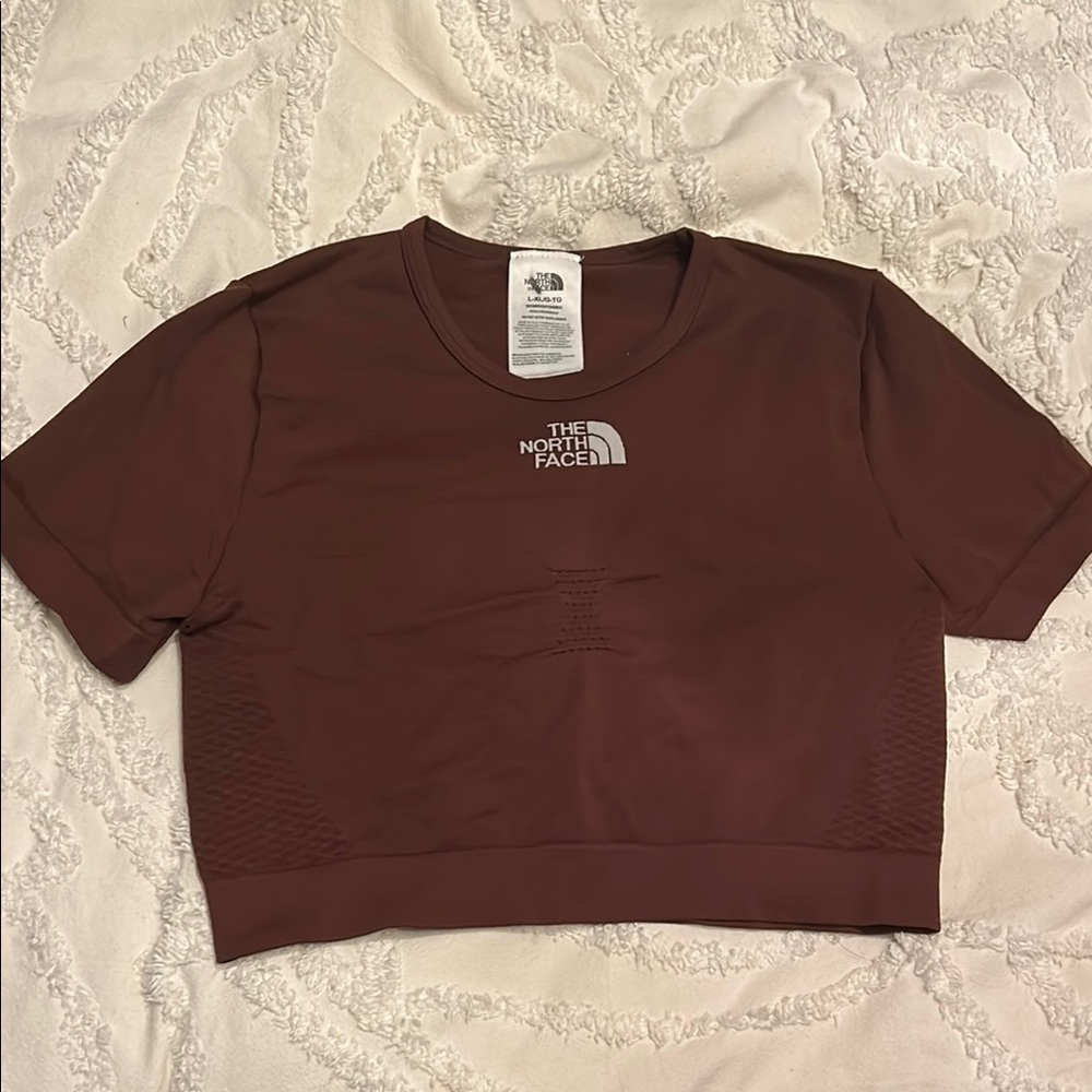 The North Face Brown Fitted Crop T-Shirt